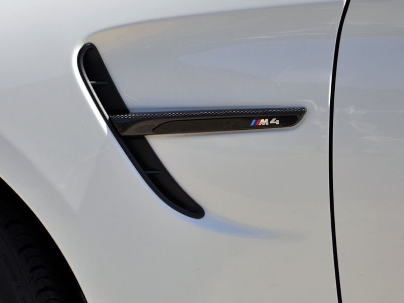 Carbon Fiber Side Fender Trims