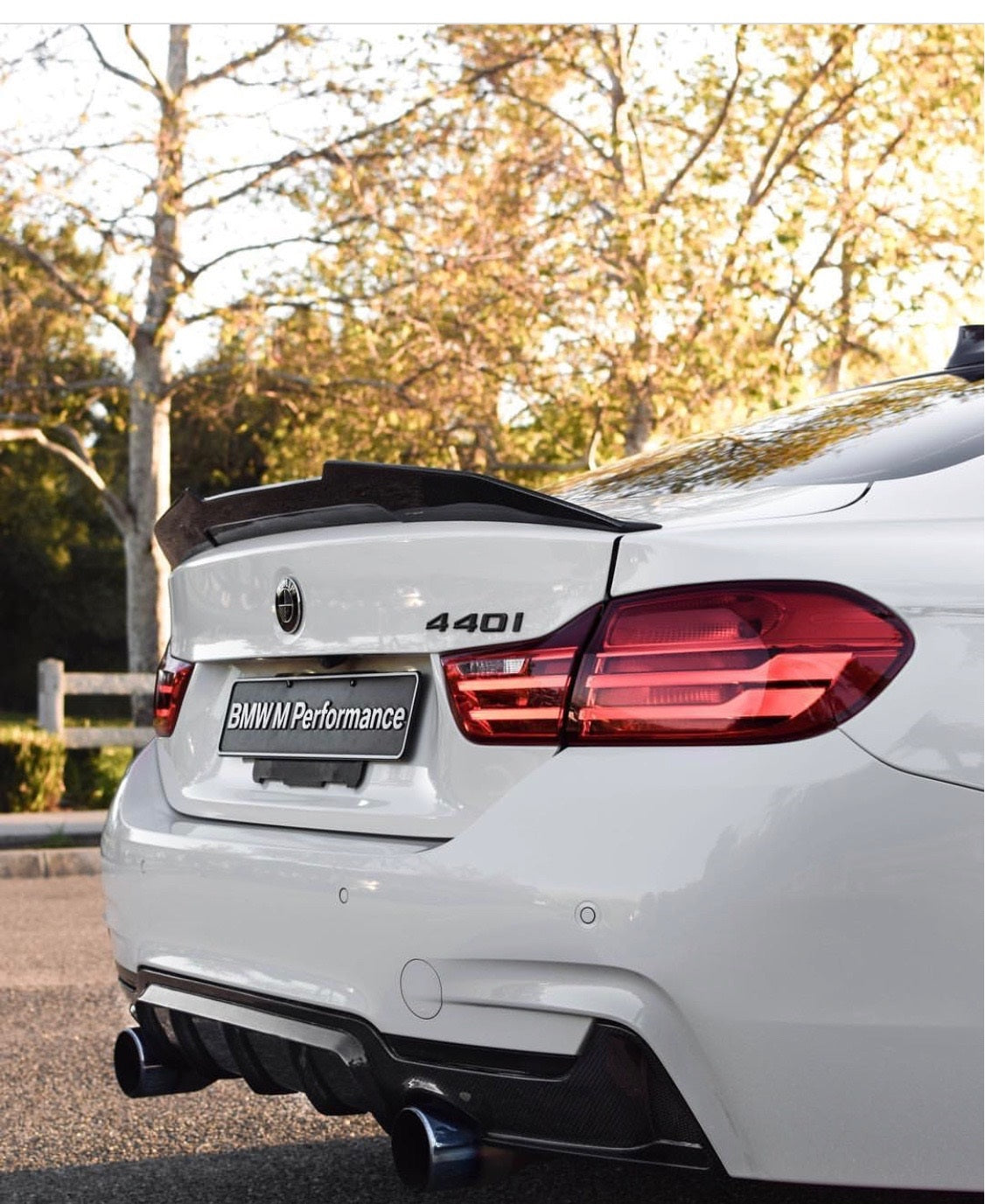 BMW F32 Coupe Carbon Fiber PSM Style Boot Spoiler