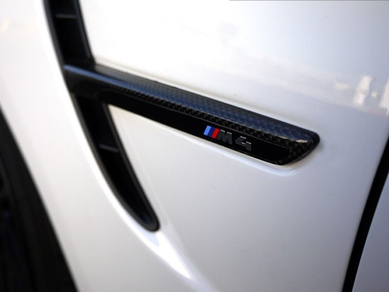 BMW Carbon Fiber Side Fender Trims